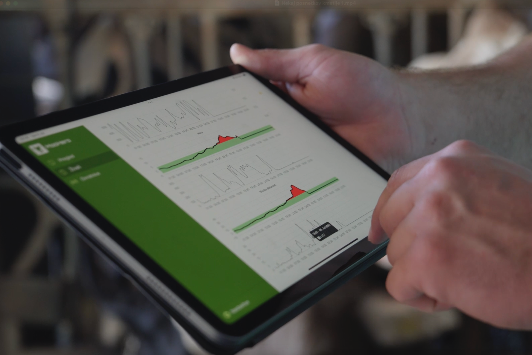 Easy management icon