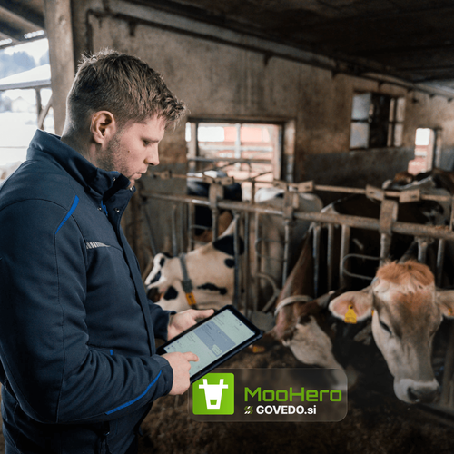 MooHero - CPZ Cattle Connection, Saving Farmers Time